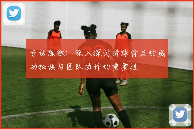 专访陈敏：深入探讨排球背后的成功秘诀与团队协作的重要性