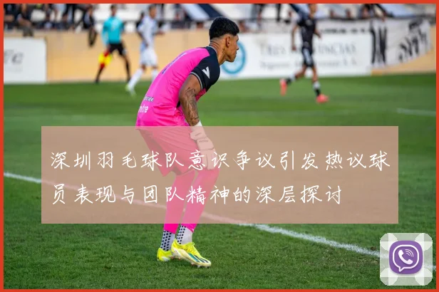 深圳羽毛球队意识争议引发热议球员表现与团队精神的深层探讨