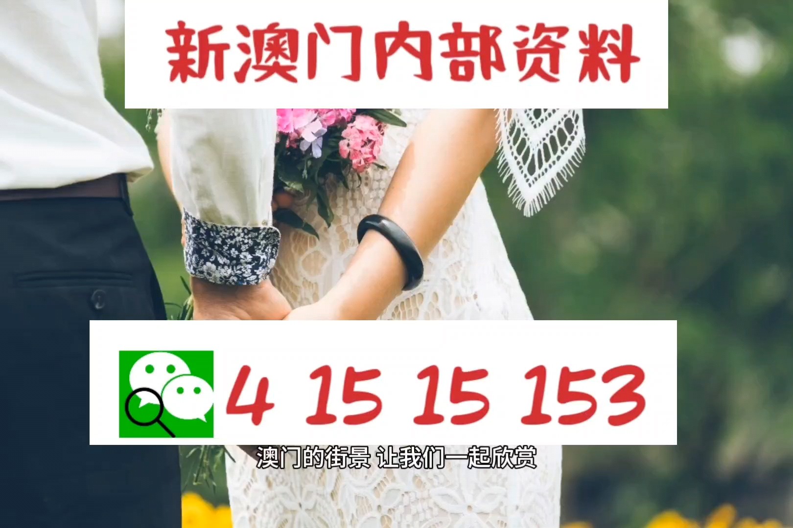 澳门码资料，探索与解析，澳门码资料解析与探索