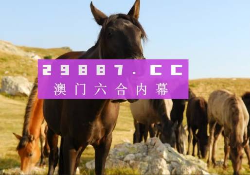 澳门一肖一码必中一码管家婆，揭秘彩票背后的秘密与策略，澳门彩票揭秘，一肖一码策略与秘密大解析